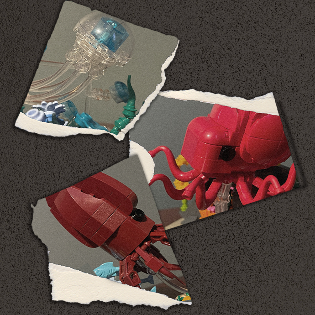 Deep Sea Creatures