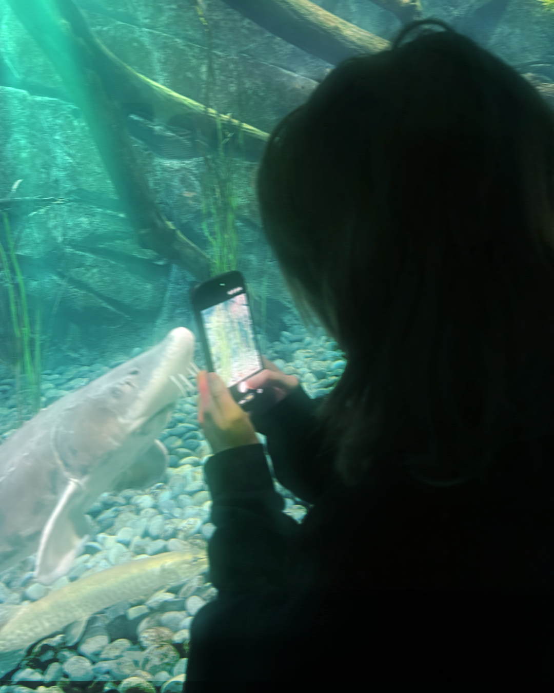 Girl With Fish Photography