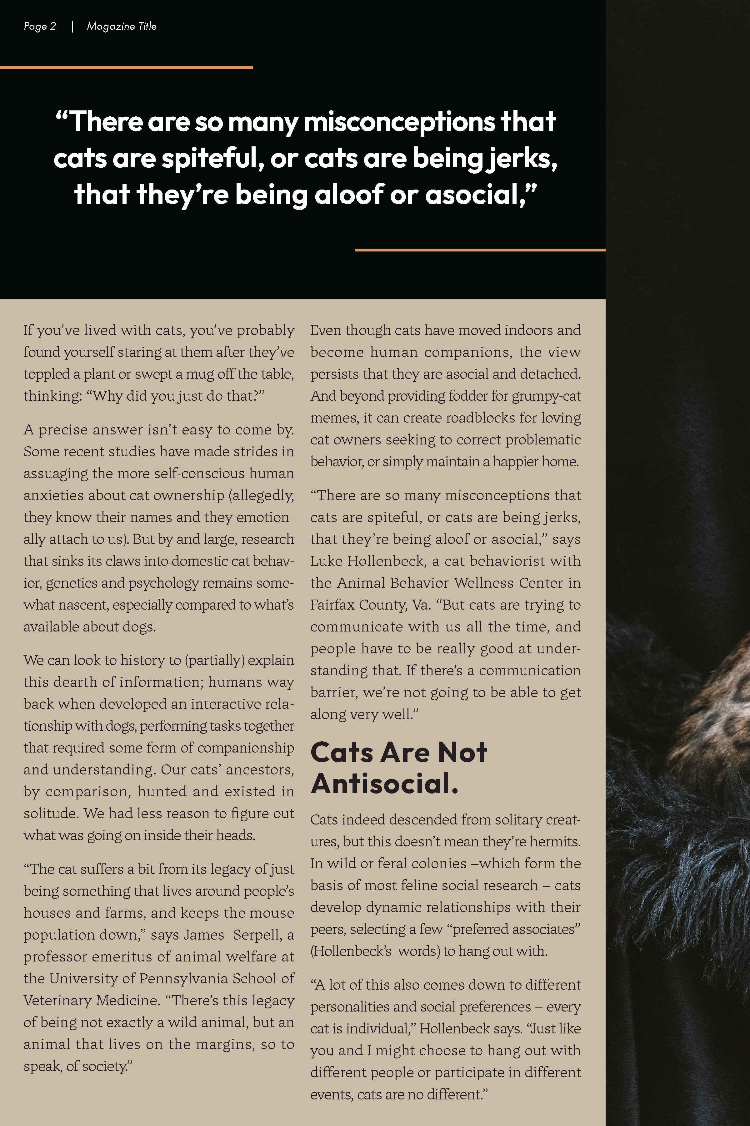 Cat Magazine - Page 1