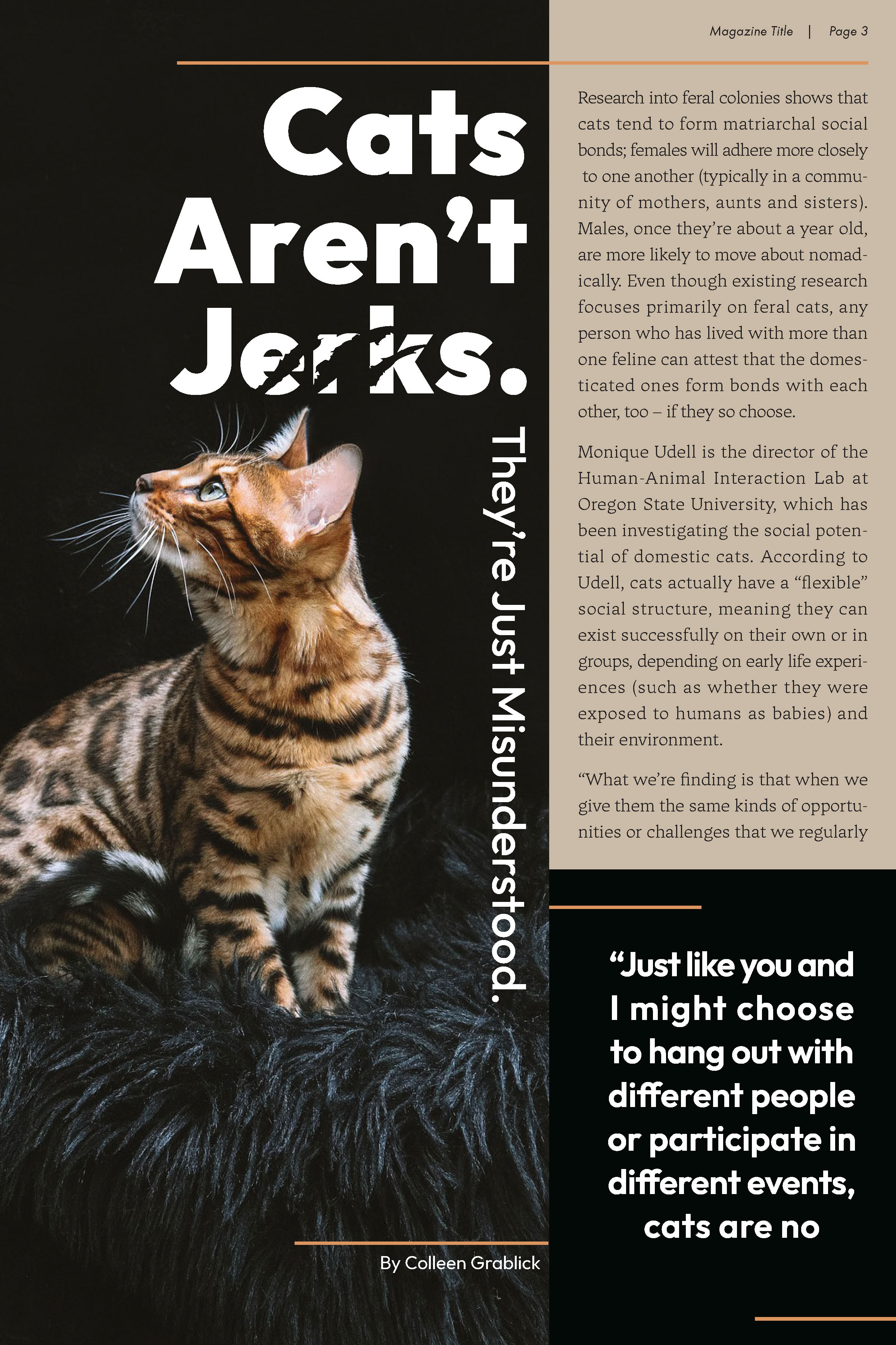 Cat Magazine - Page 2
