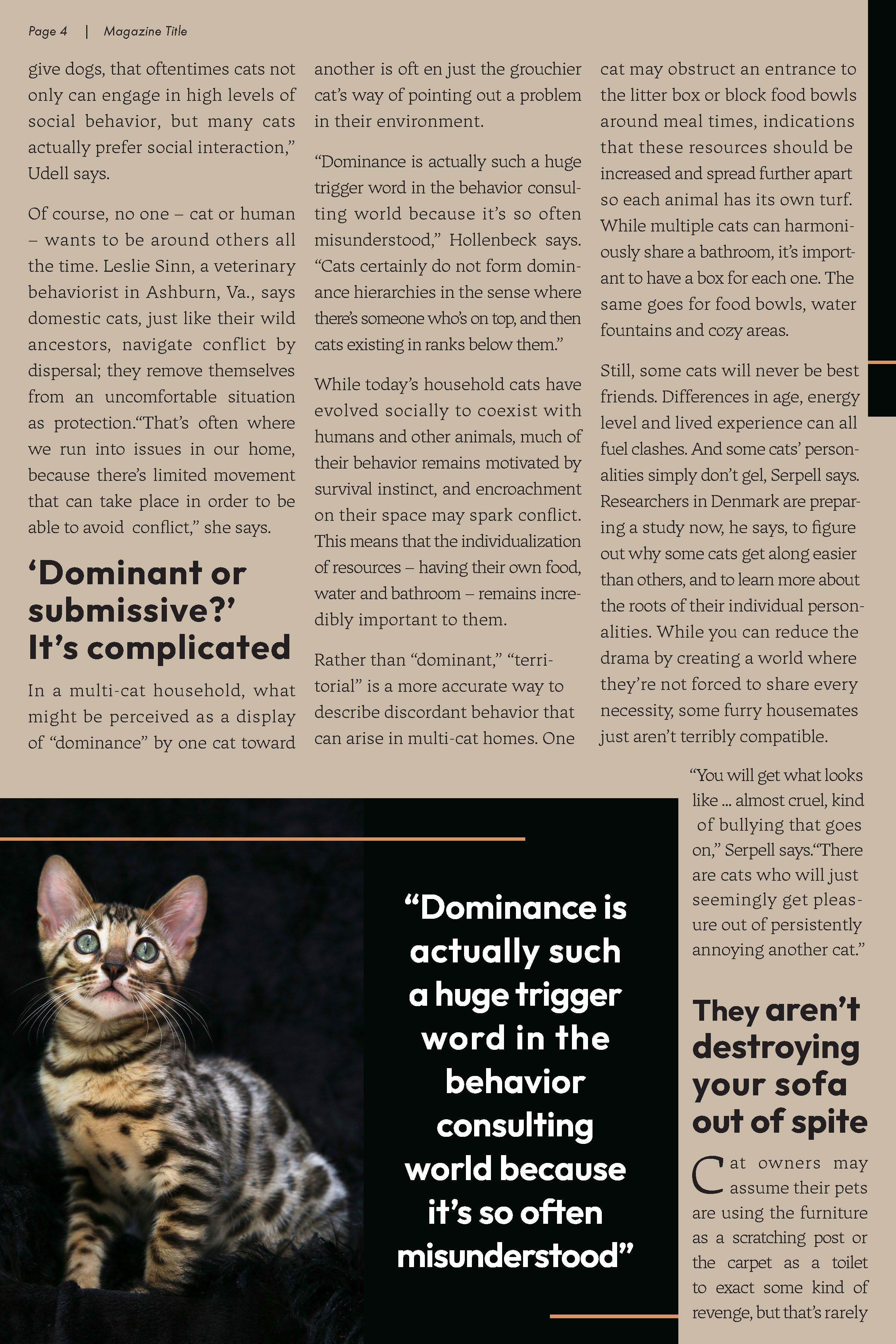 Cat Magazine - Page 3