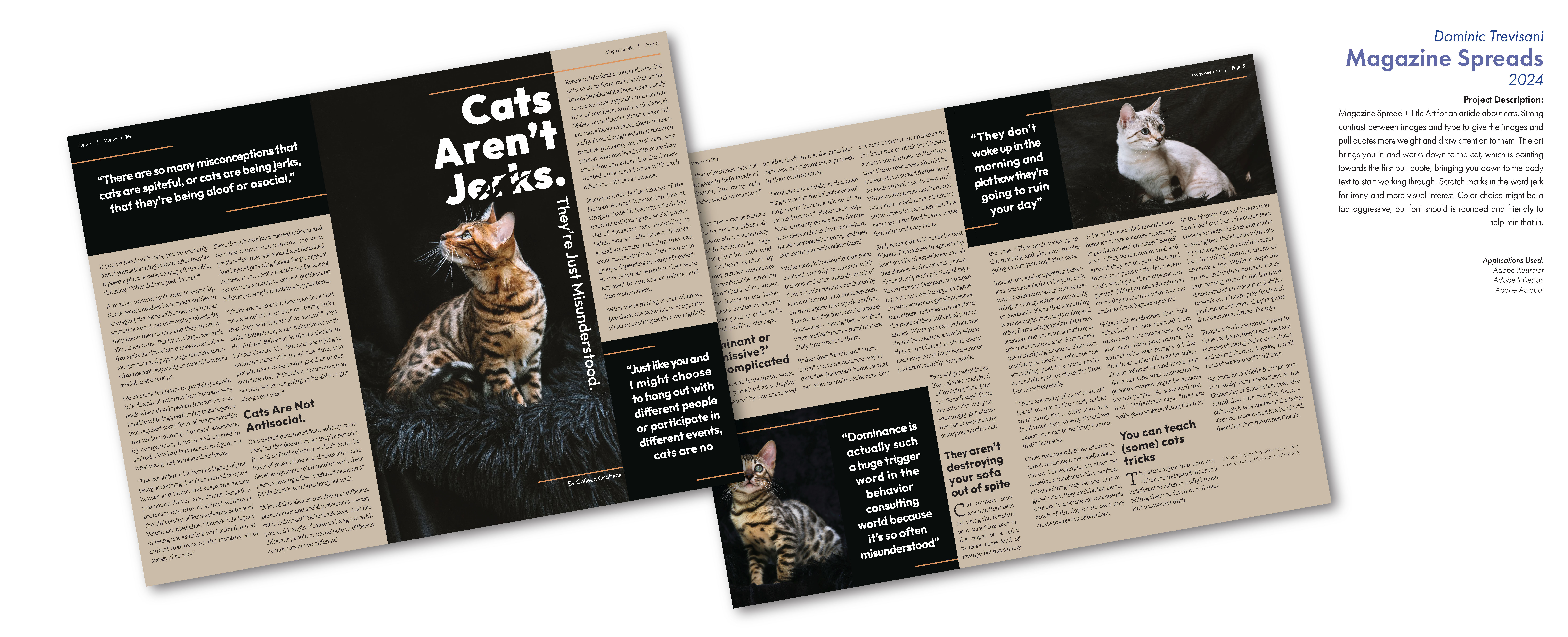 Cats Aren't Jerks Page Layout Display