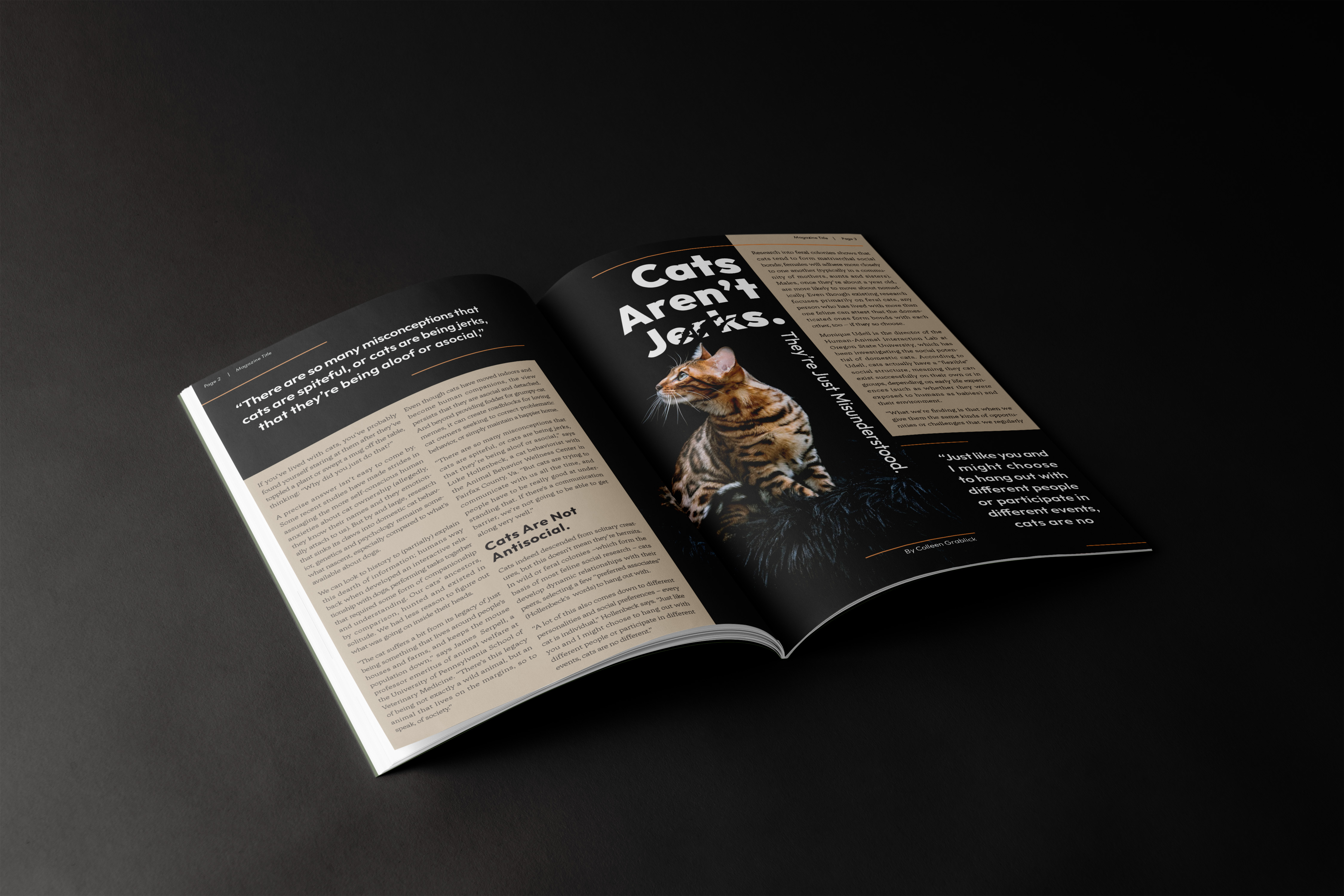 Cats Aren't Jerks Page Layout Display